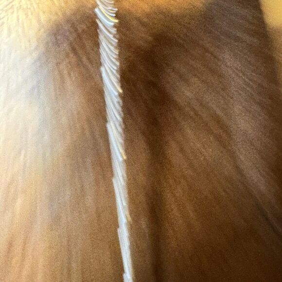 Native American Eagle Turquoise Necklace, Genuine Sterling Silver & Turquoise S - Picture 5 of 15